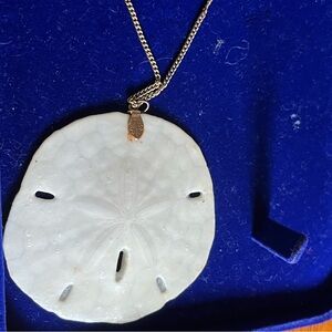 White Sand Dollar Pendant Necklace